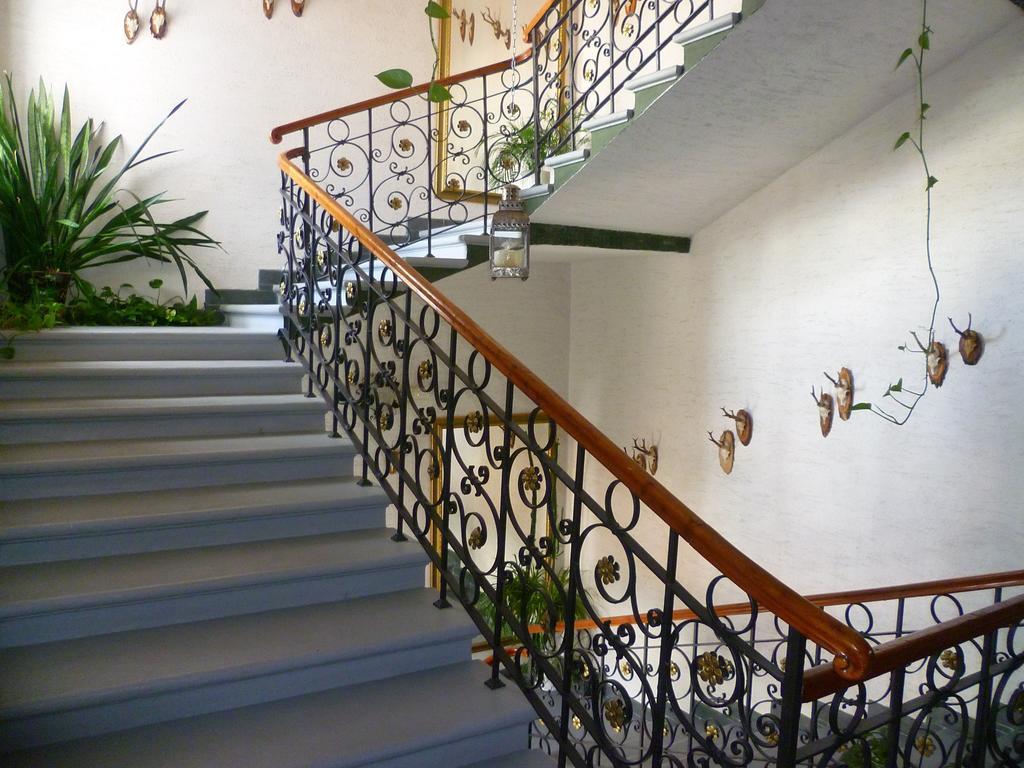 Hotel Koruna Jeseník Dış mekan fotoğraf